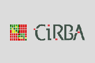 CiRBA Inc.